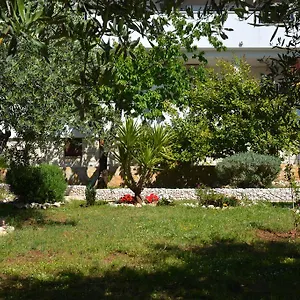 Apartman Maslina